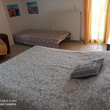 Olga'S Apartments Olympus And Garden View 尼亚米卡尼奥纳 外观 照片